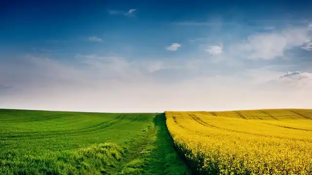 借尸还魂计 策略运用 借尸还魂典故_回魂计