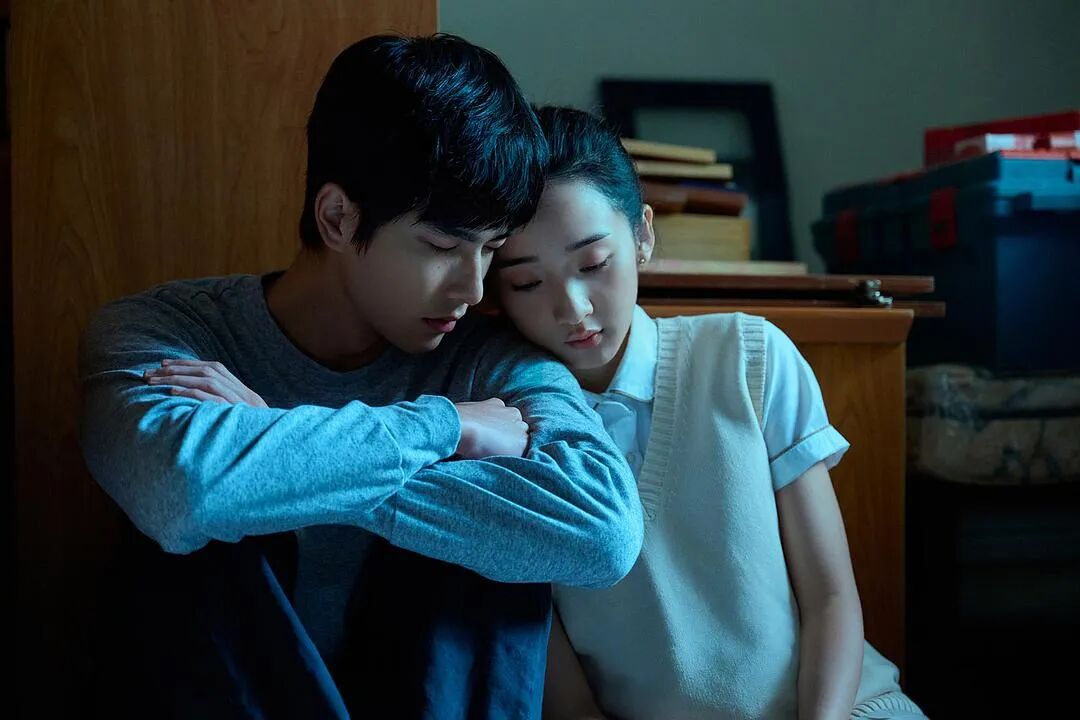 如果我不曾见过太阳 悬疑剧 创伤爱情_如果我不曾见过太阳电视剧