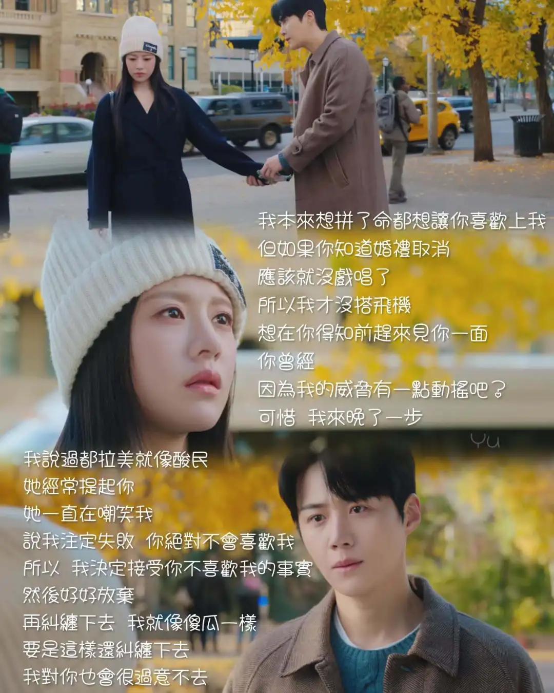 爱情怎么翻译?_爱情怎么翻译 剧集 细腻人物设定